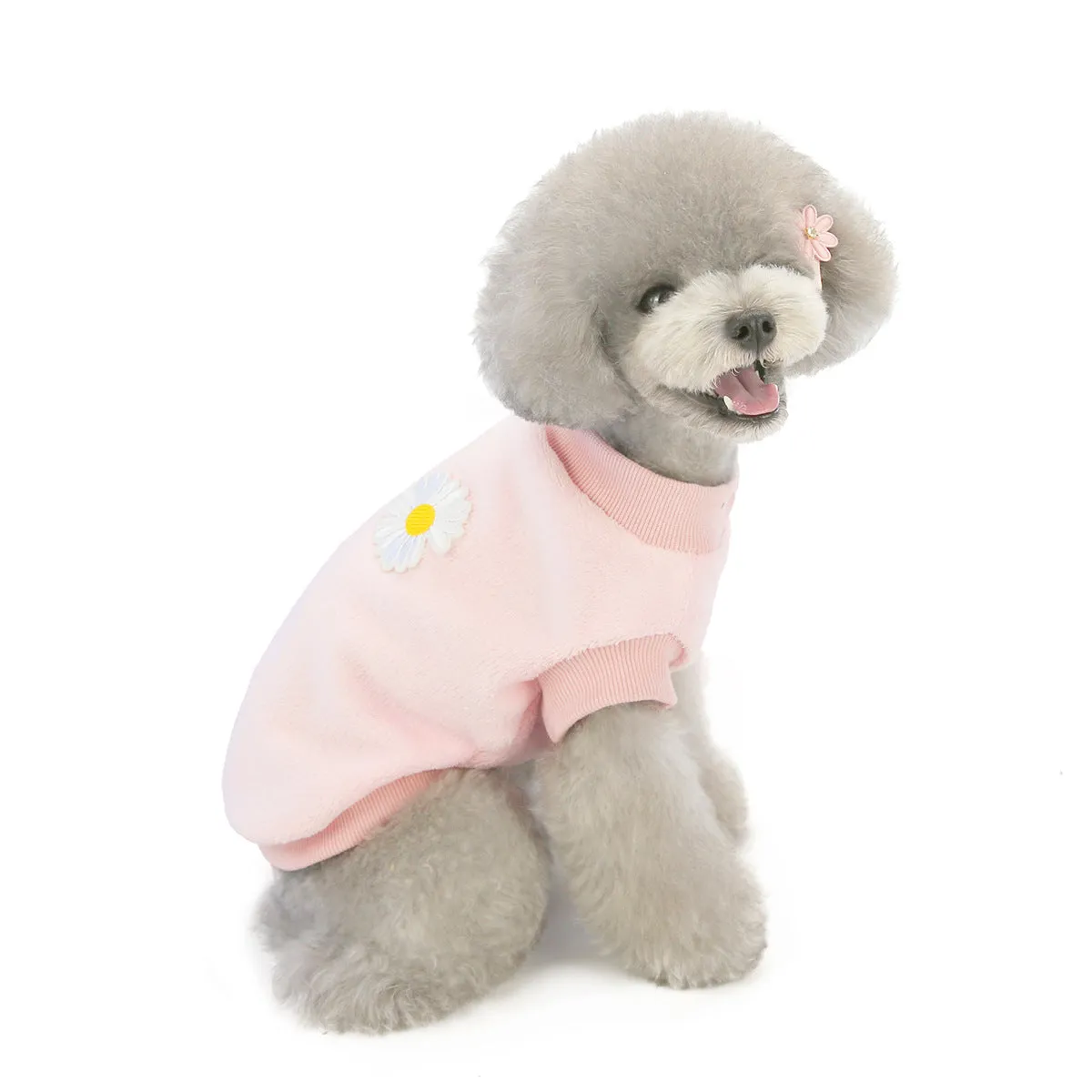 Small dog coral fleece home clothes pet clothes