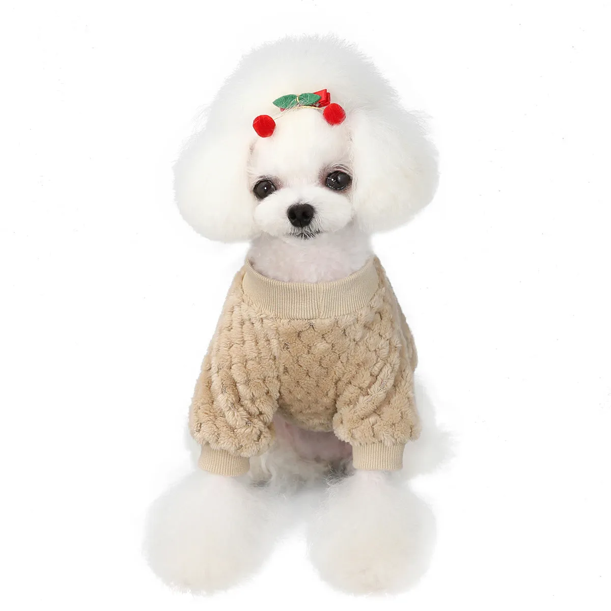 small size dogs autumn soft pet clothing