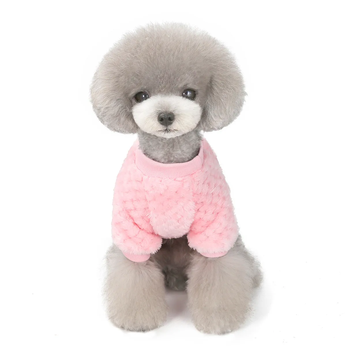 small size dogs autumn soft pet clothing