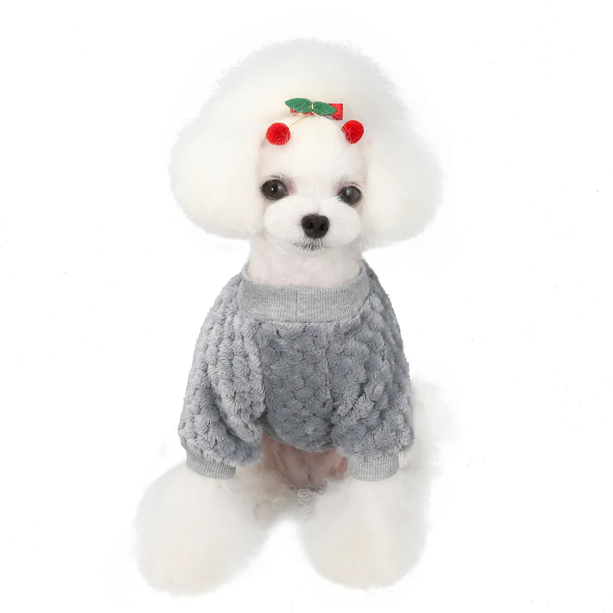 small size dogs autumn soft pet clothing