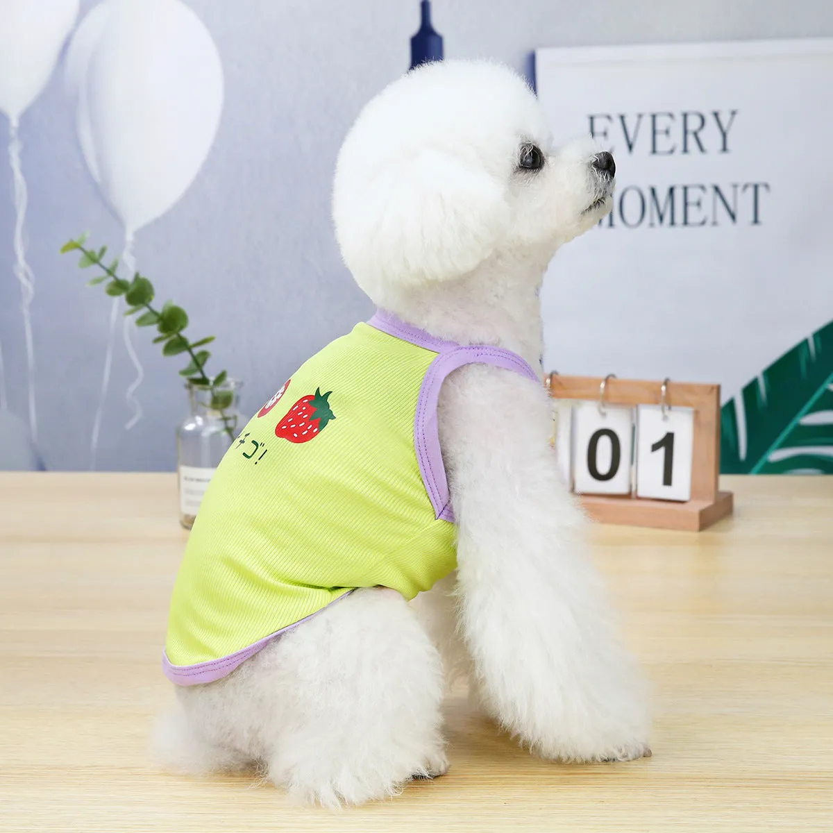 Summer pet clothes cat and puppy strawberry patter