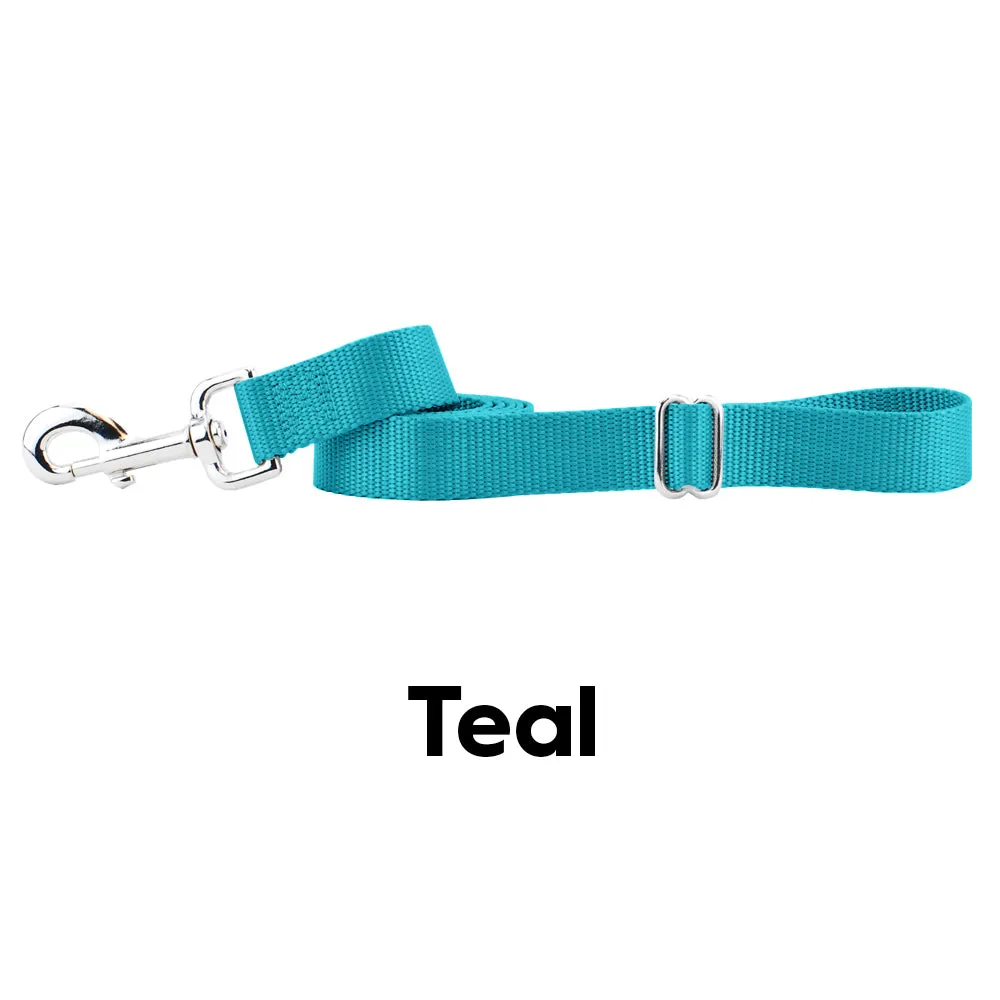 Teal Nylon Dog Leash