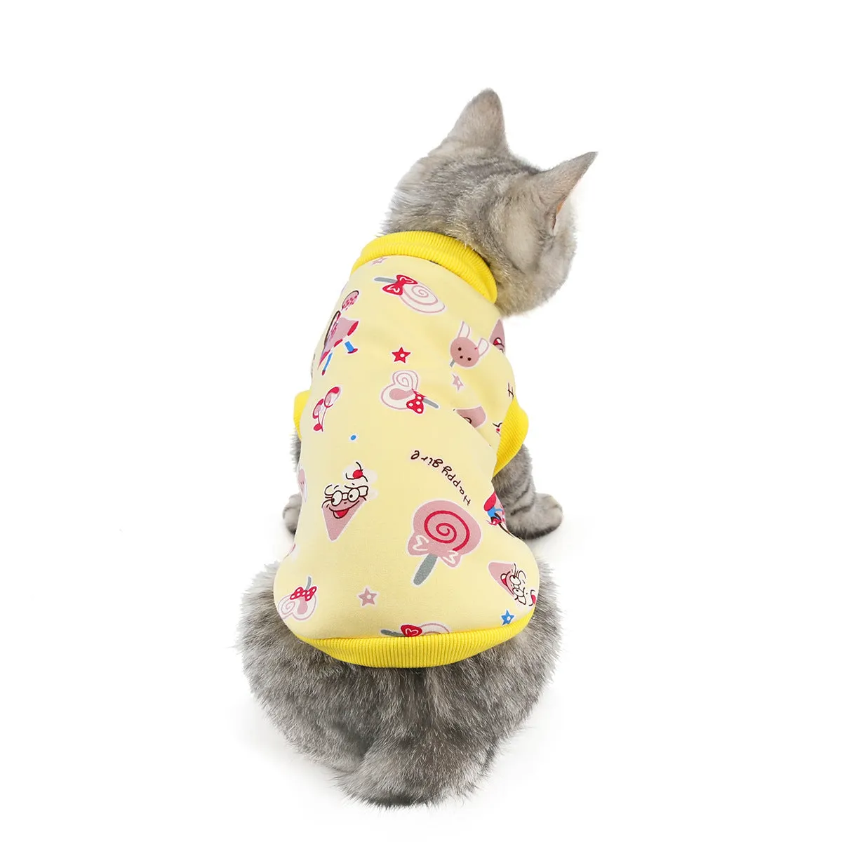 Warm autumn and winter pet cat clothes pet clothes