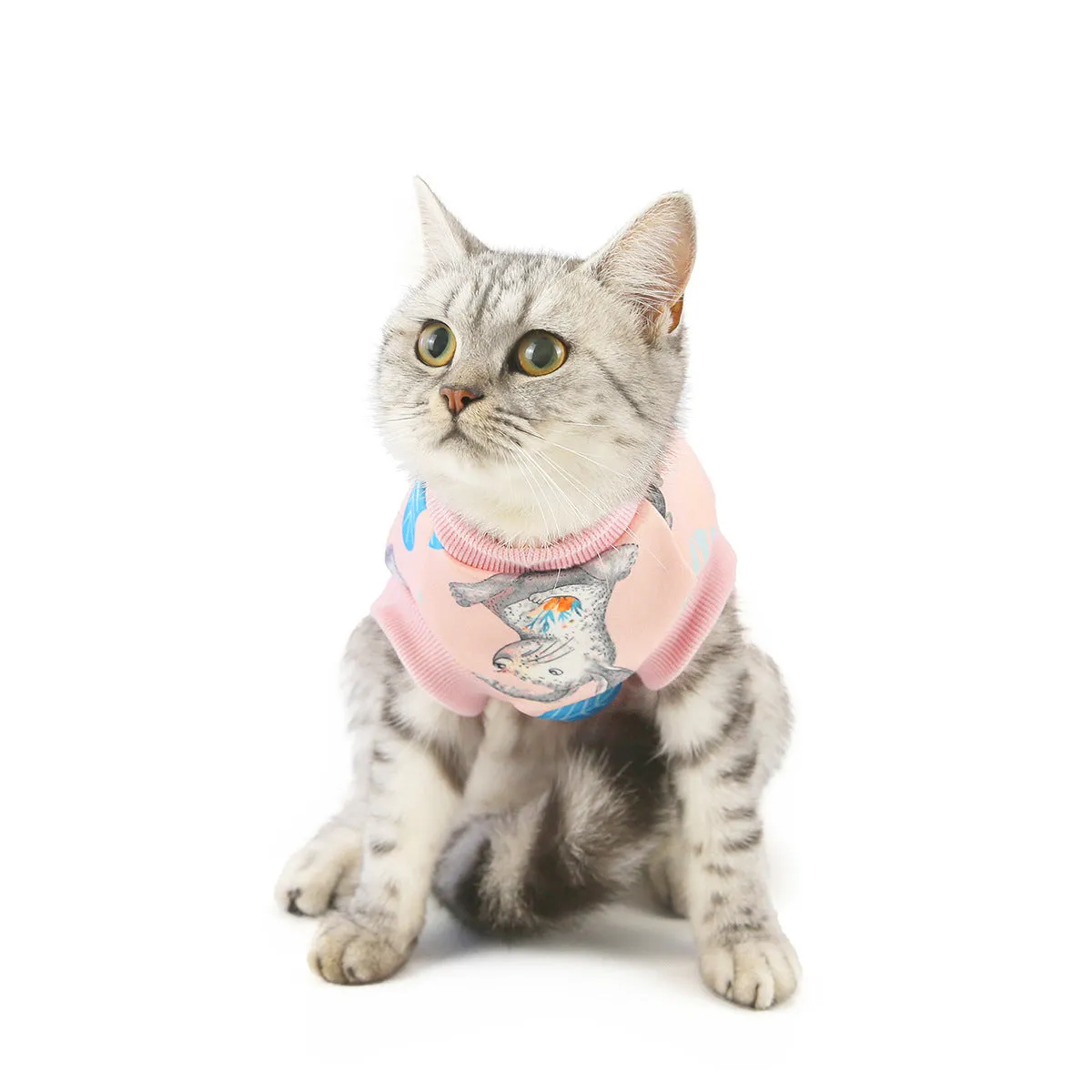 Warm autumn and winter pet cat clothes pet clothes