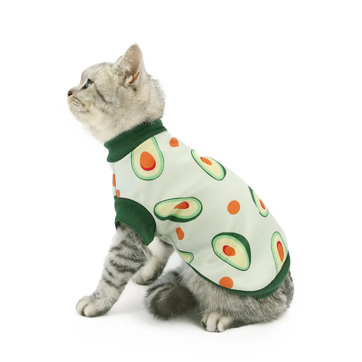 Warm autumn and winter pet cat clothes pet clothes