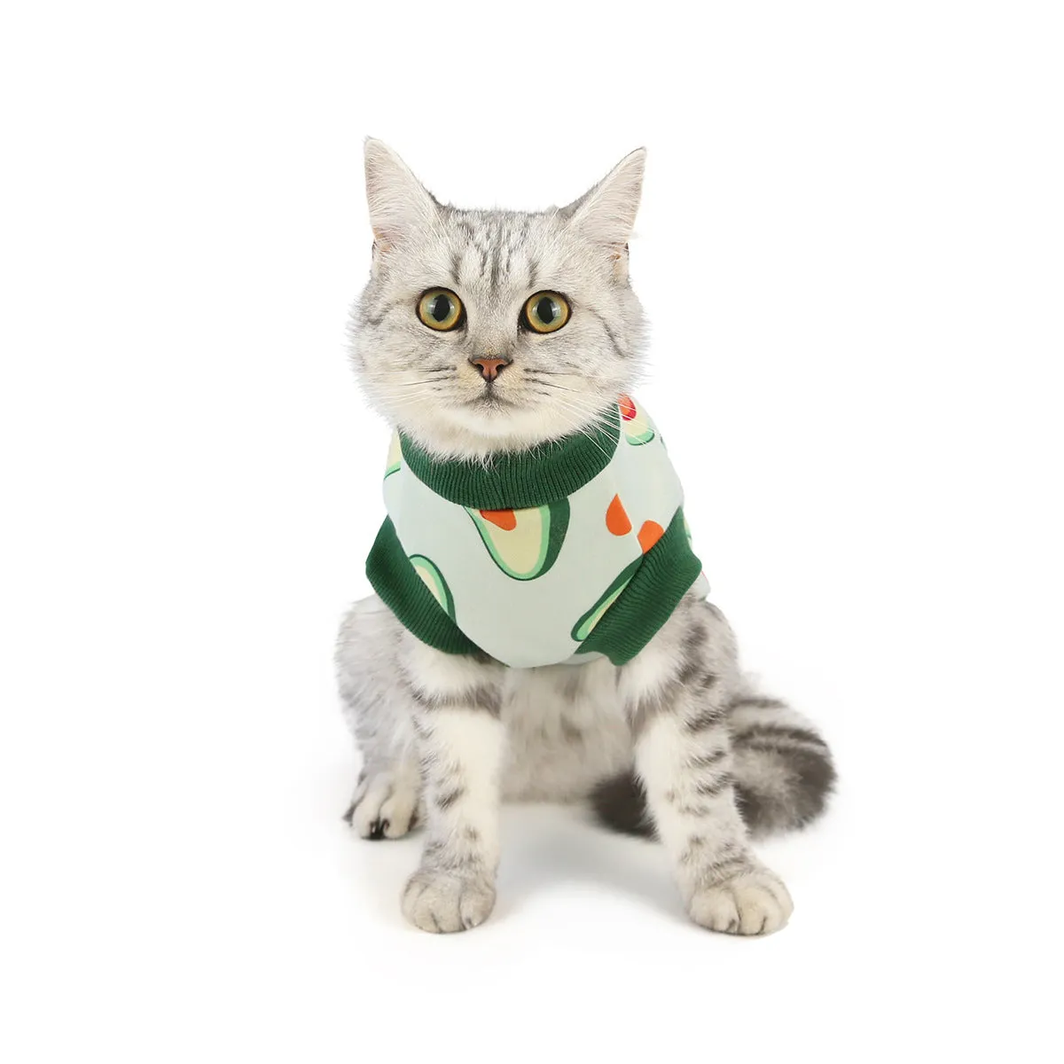 Warm autumn and winter pet cat clothes pet clothes