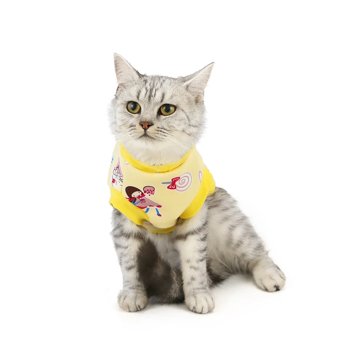 Warm autumn and winter pet cat clothes pet clothes