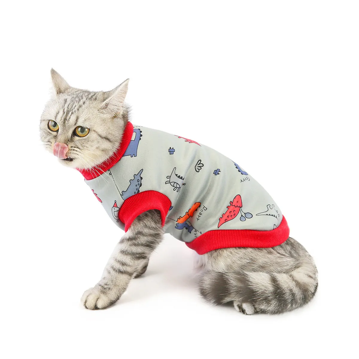 Warm autumn and winter pet cat clothes pet clothes