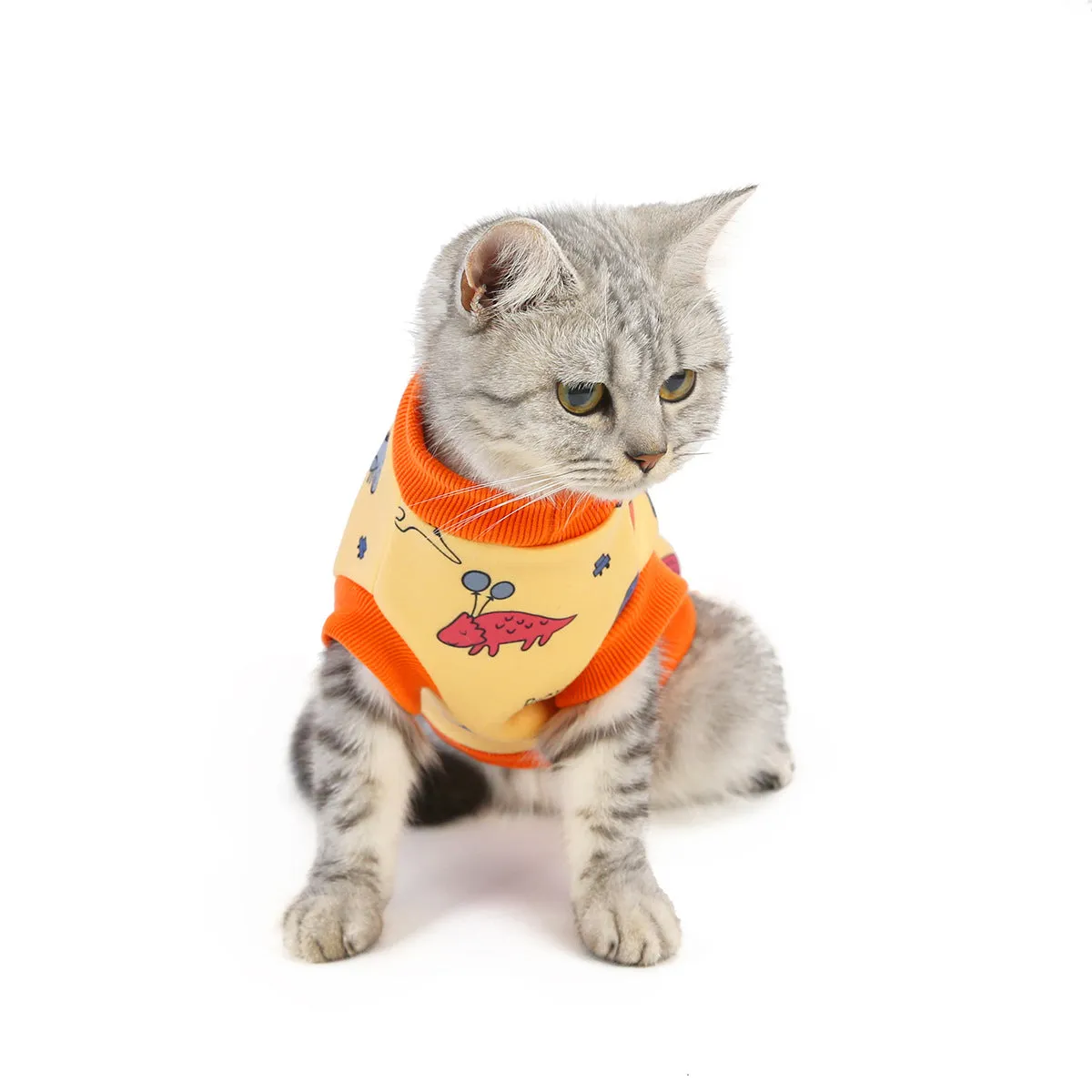 Warm autumn and winter pet cat clothes pet clothes