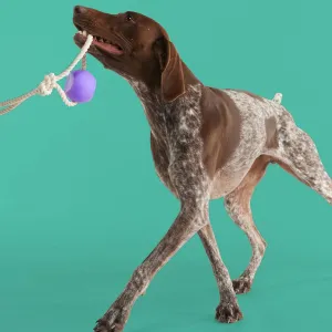 Yomp BallRope Dog Toy